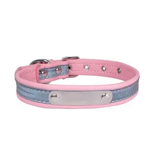 Bad Kitty Leather Collar
