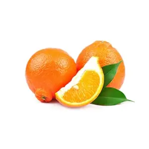 Dolce Frutti Fresh Minneola Tangelo Oranges