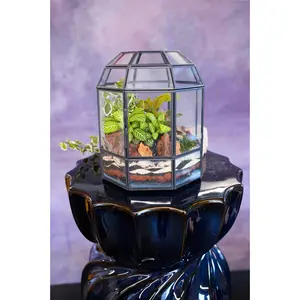 Babylon Terrarium