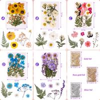 Dried Flowers Kit