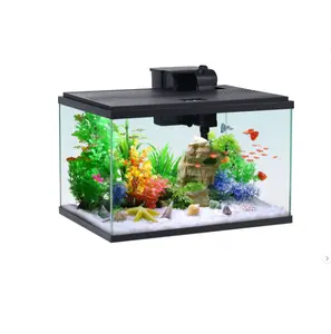 10-Gallon Glass Aquarium Starter Kit for Pet Fish Tank