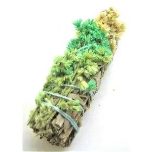 Natural, Green Mullein & White Sage Smudge Stick (4 in.)