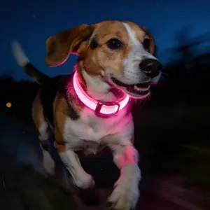 Rechargeable USB LED Dog Collar, High Visibility Night Safety Pet Accessory, Perfect for Night Walks & Outdoor Activities