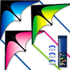 Delta Kite Three Set for Kids and Adults,Easy to Fly Adult Kites,Perfect Family Kite for Parks and Beach, Delta Kites for Fun Outdoor Activities7