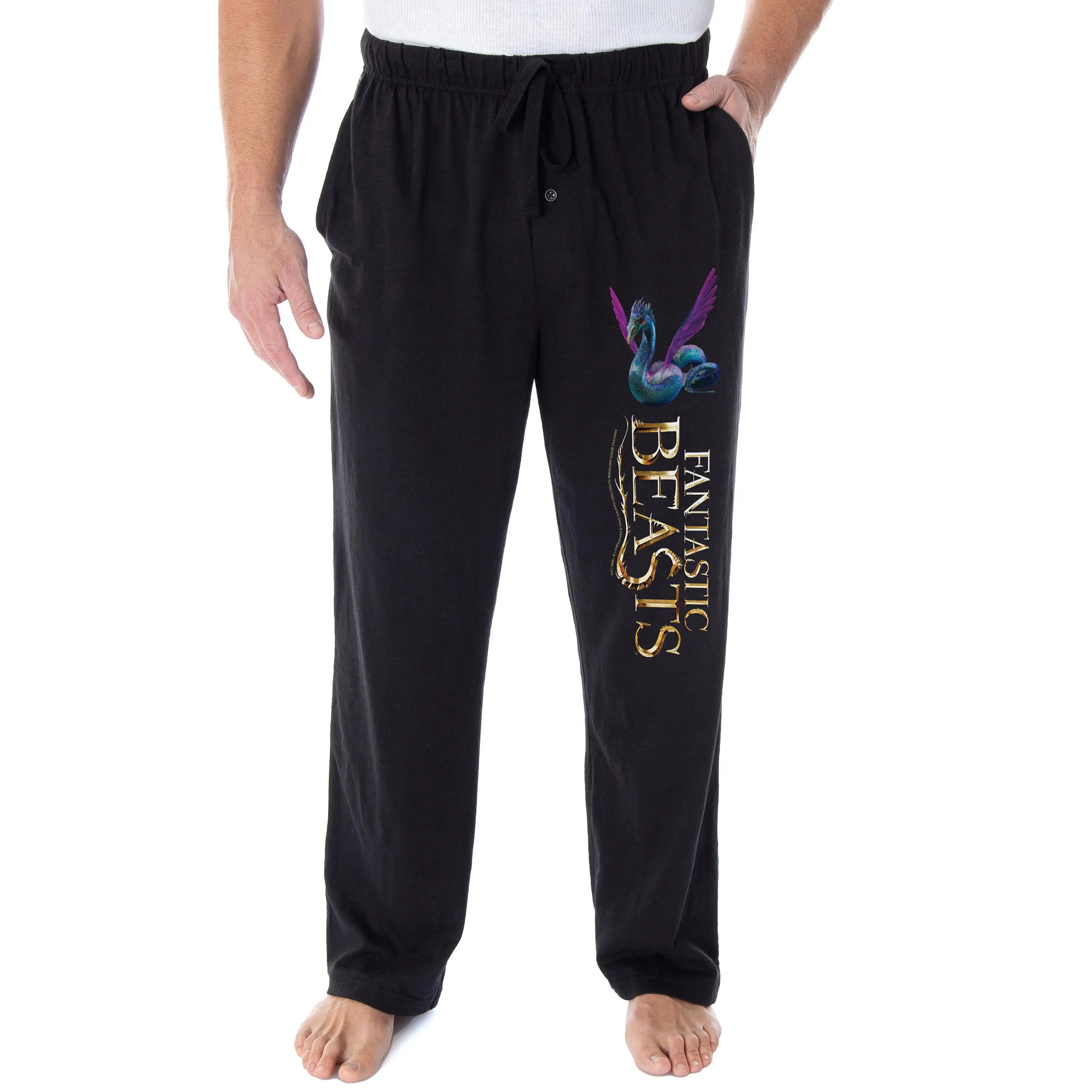 Fantastic Beasts And Where To Find Them Men's Occamy Serpentine Harry Potter Pajama Pants