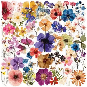 50Pcs Transparent Flora Scrapbook Stickers Pack, Vintage Aesthetic Waterproof Flower Stickers for Journal, Water Bottles Laptop Phone, DIY Scrapbook Supplies Crafts(Colorful)