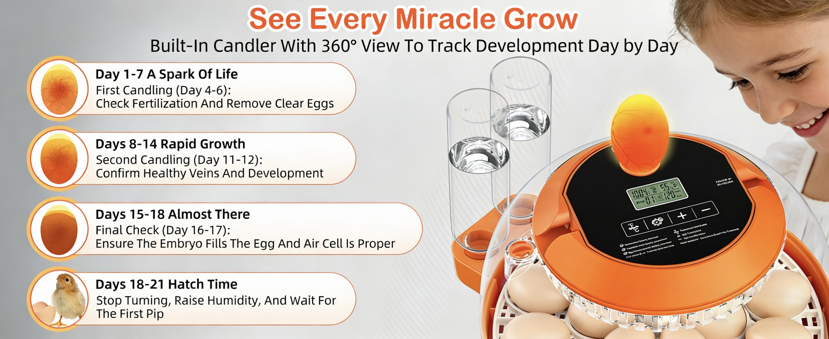 18-Egg Incubator, Fully Automatic with Egg Turner & Temperature/Humidity Control, Clear Lid and Storage, for Hatching Chicken, Duck, Quail Eggs