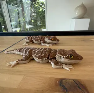 Articulated Bearded Dragon Figure Plastic Collectible  for Adults Detailed Design and Lifelike Features Gift Eye