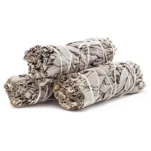 White Sage Herb Smudging