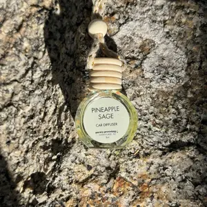 Hanging Car Diffuser – Pineapple Sage