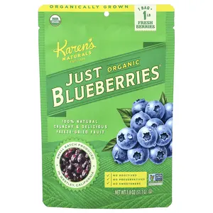 Karen's Naturals Organic Just Blueberries®, 1.8 oz (51.1 g)