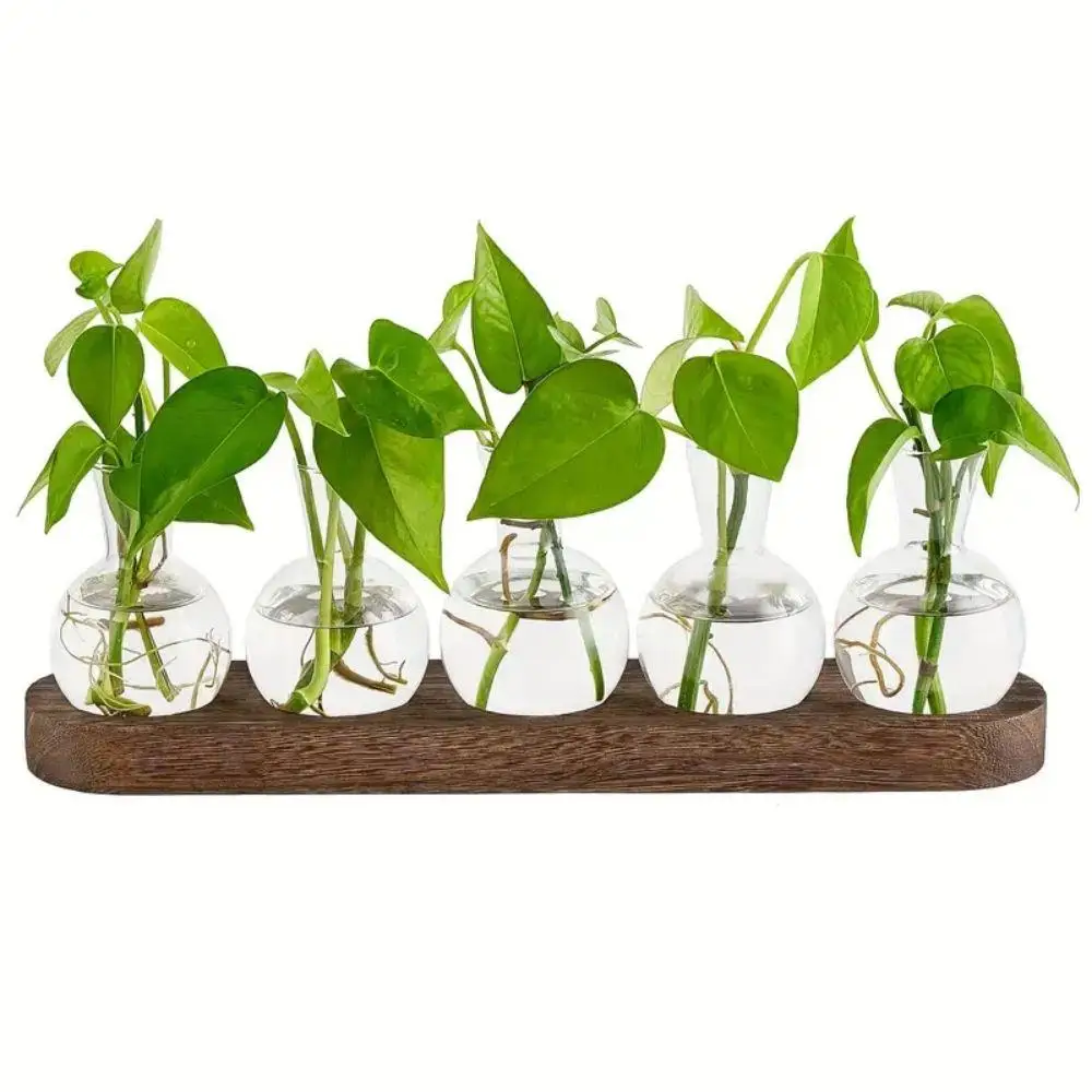 Transparent Glass Hydroponic Plant Pot without Plant, 1 Count 3/5 Glass Ball Vase with Wooden Tray, Ball Root Vase Container for Hydroponic Plant Gard