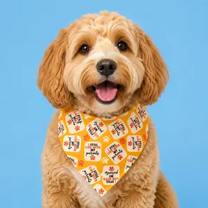 "I Still Live With My Parents" Dog Bandana with Scrunchy Elastic Collar