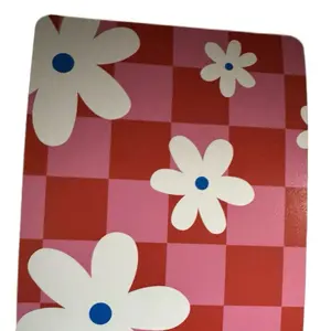 Floral Checker Kindle Insert - Red Pink Checkered Pattern with White Flowers Design