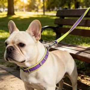 Non-Slip Wavy Texture Dog Leash Waterproof Two-Tone Design for All Dog Sizes Durable Material Enhanced Grip Sturdy Metal Clasp poppy collar swivel