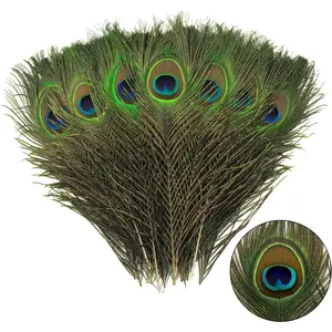12pcs Peacock Feather Natural in Bulk 10-12 inch 25-30cm for Craft Vase Wedding Home Party Christmas Day Decoration Peacock Feathers