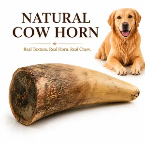 Natural Cow Horn Dog Chew, Long-Lasting Single Ingredient Rawhide-Free Chew for Medium & Large Dogs, Keeps（1 Pack） Dogs Busy, Naturally Unique Texture