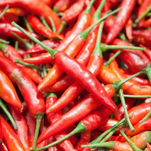 Tabasco Pepper 25 Seeds - Natural Flavor for Cooking and Savoring