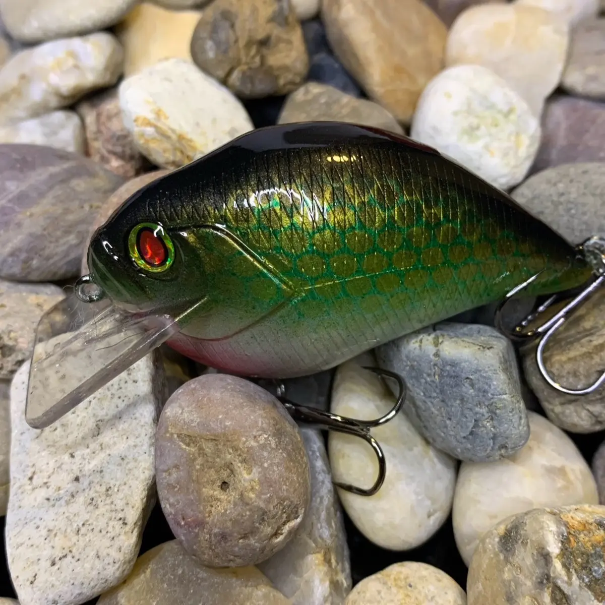 Custom Painted Megabass S Crank KO Squarebill Crankbait (Bass Beans)