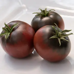 Cherokee Purple Tomato Plants | Two Live Plants |  Non-GMO, Heirloom Beefsteak