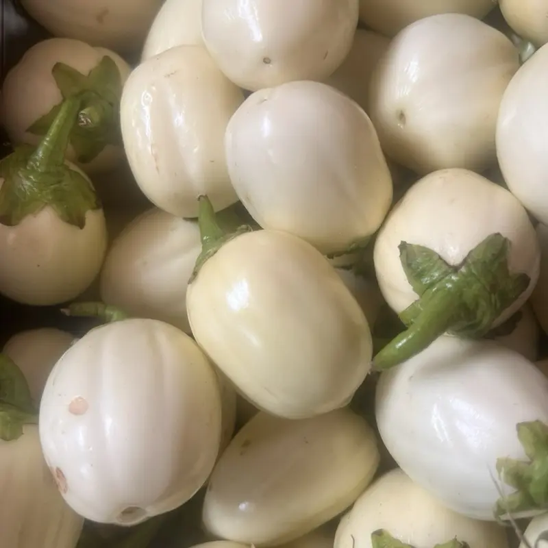 Fresh Garden eggs or Eggplant $10 per pound