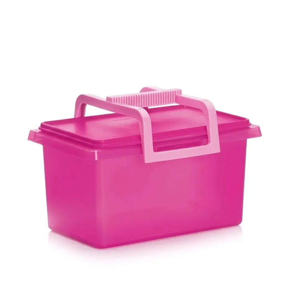 All-purpose container—a box for storing food or other accessories.