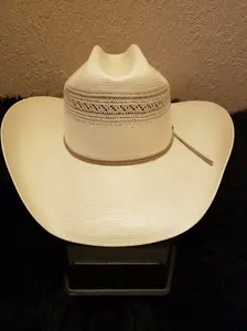 Stetson Dunham Hat