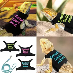 Lizard Harness Leash, Reptile Outdoor Chest Strap, Chameleon Squirrel Colorful Lead Rope, Small Pet Supplies, Comfortable & Durable Design
