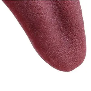Realistic Fake Tongue Gross Jokes Prank Magic Tricks Halloween Horrific Magicians Props Fashion Processing Magic Kits