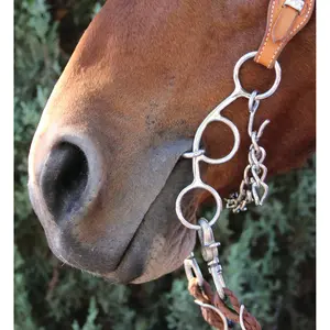 Professional's Choice Futurity Bit