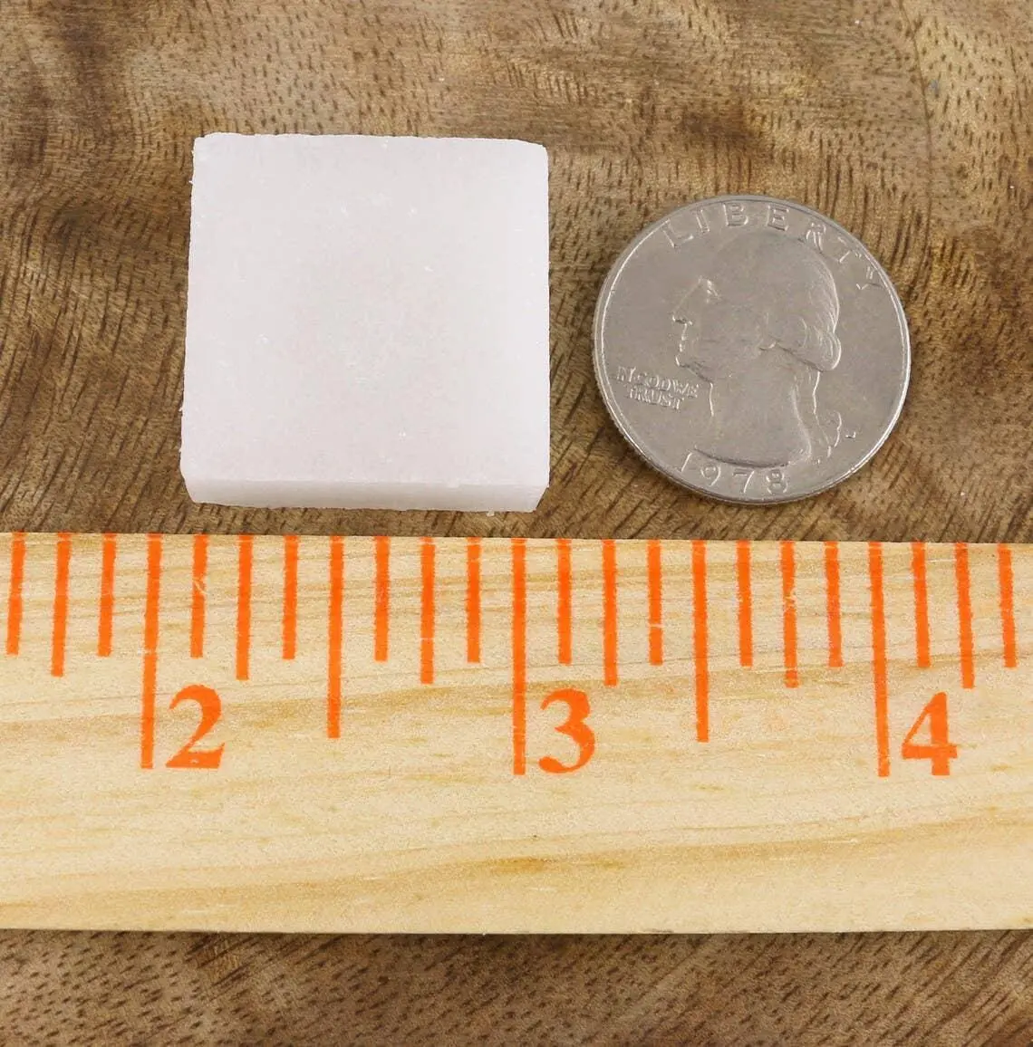 Camphor 1 piece