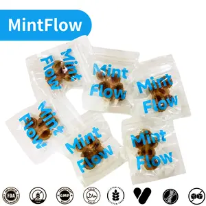 Mint Flow Dopamine Gummies | 3 Mins Kick-In, 6H Focus | Advanced Neuro-Blend for Mood & Clarity | Supports ADHD Focus