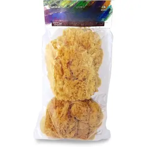 Sea Sponges for Artists - Unbleached 5"-5.5" 2 count Value Pack:  for Painting Decorating Texturing Sponging Marbling Effects Faux Finishes Crafts & More by (R)