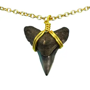 Real Gold Filled Shark Fossil Necklace - 14 Karat, Dainty Chain Accessory with Eco-Friendly Design and Shark Conservation Donations