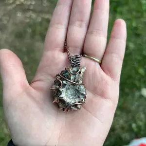 Ammonite Fossil Necklace