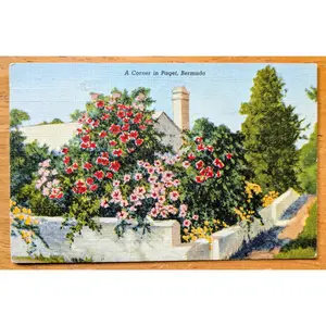 1949 A Corner in Paget, Bermuda Linen Postcard - Chromo Lithograph - Antique Bermuda Floral Textured Postcard