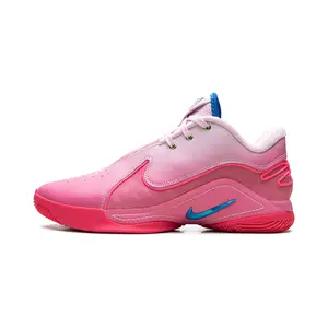 LeBron 22 "I Promise" HV8456 600