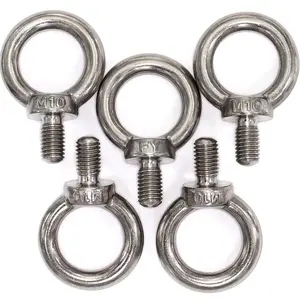 Stainless Steel Machinery  Lifting Eye Bolt (M10, 5 Items)