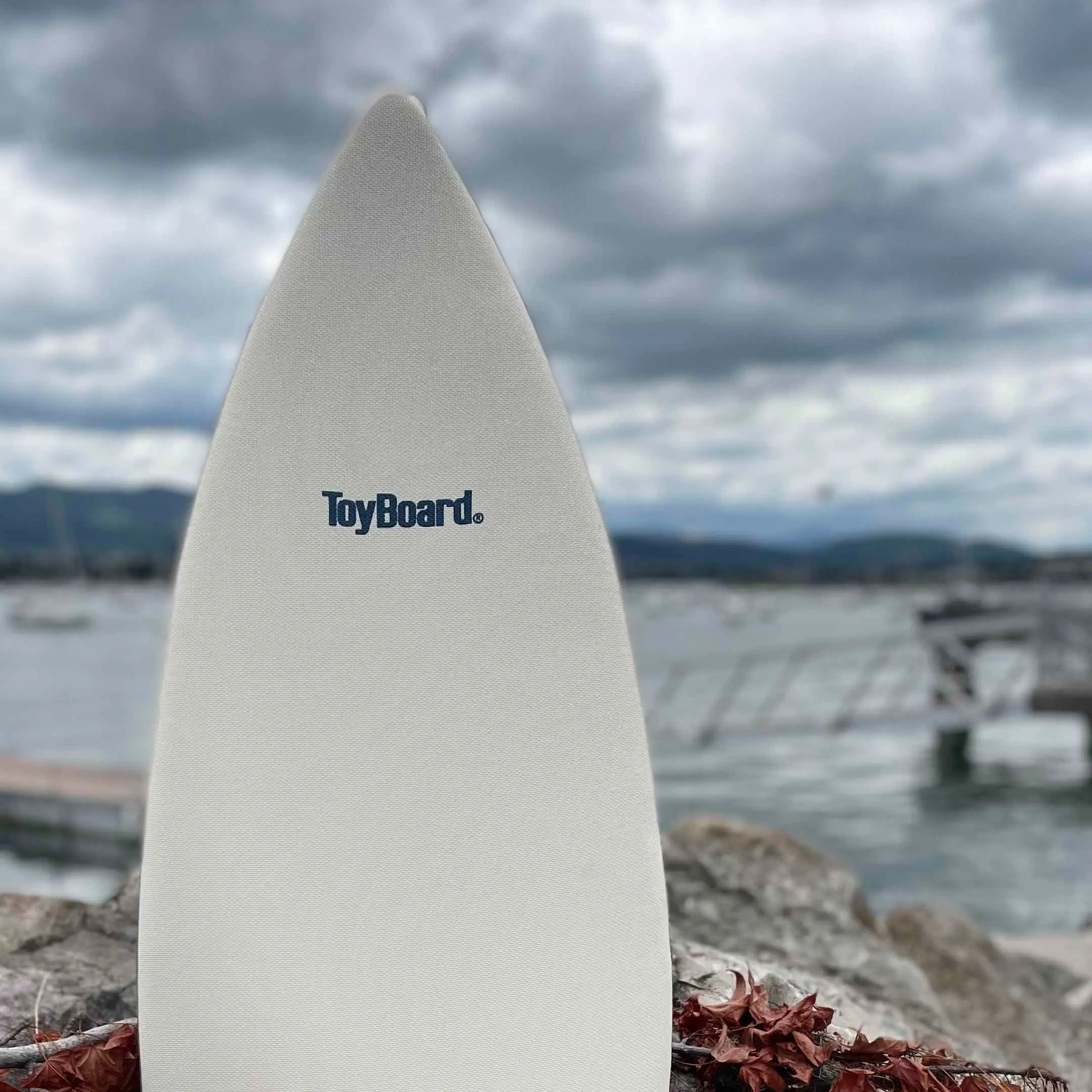 ToyBoard Balance Board, surf training - Ocean Storm - Where fitness meets fun!