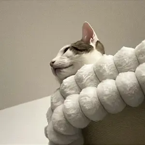 Folding Cat Hammock for Window - Cordless, Machine Washable Bed, Robust Metal Frame, Strong Suction Cups，Cat Window Perch for Cats and Small Dogs