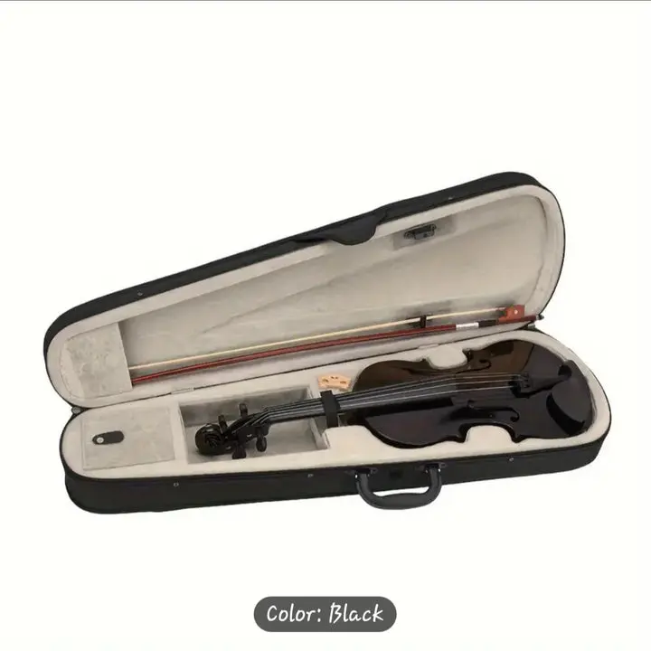 Black Violin 4/4 Full-Size Violin with Case and Accessories Ideal for Beginners Complete Setup