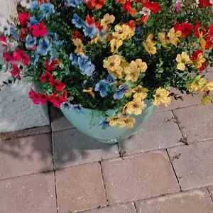 review image 3