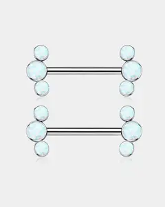 2Pcs Internally Threaded Titanium Nipple Barbell Pair