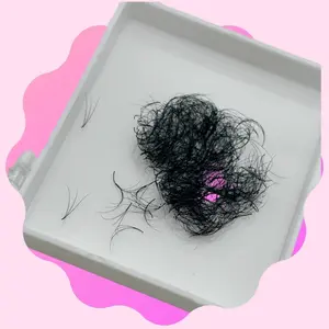 3D 0.07 Promade Fans (Box Of 500) Eyelash Extensions