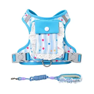Pet Harness Leash Set, Cute Backpack Dog Vest No Pull Harness Leash, Suitable for Small to Medium Dogs