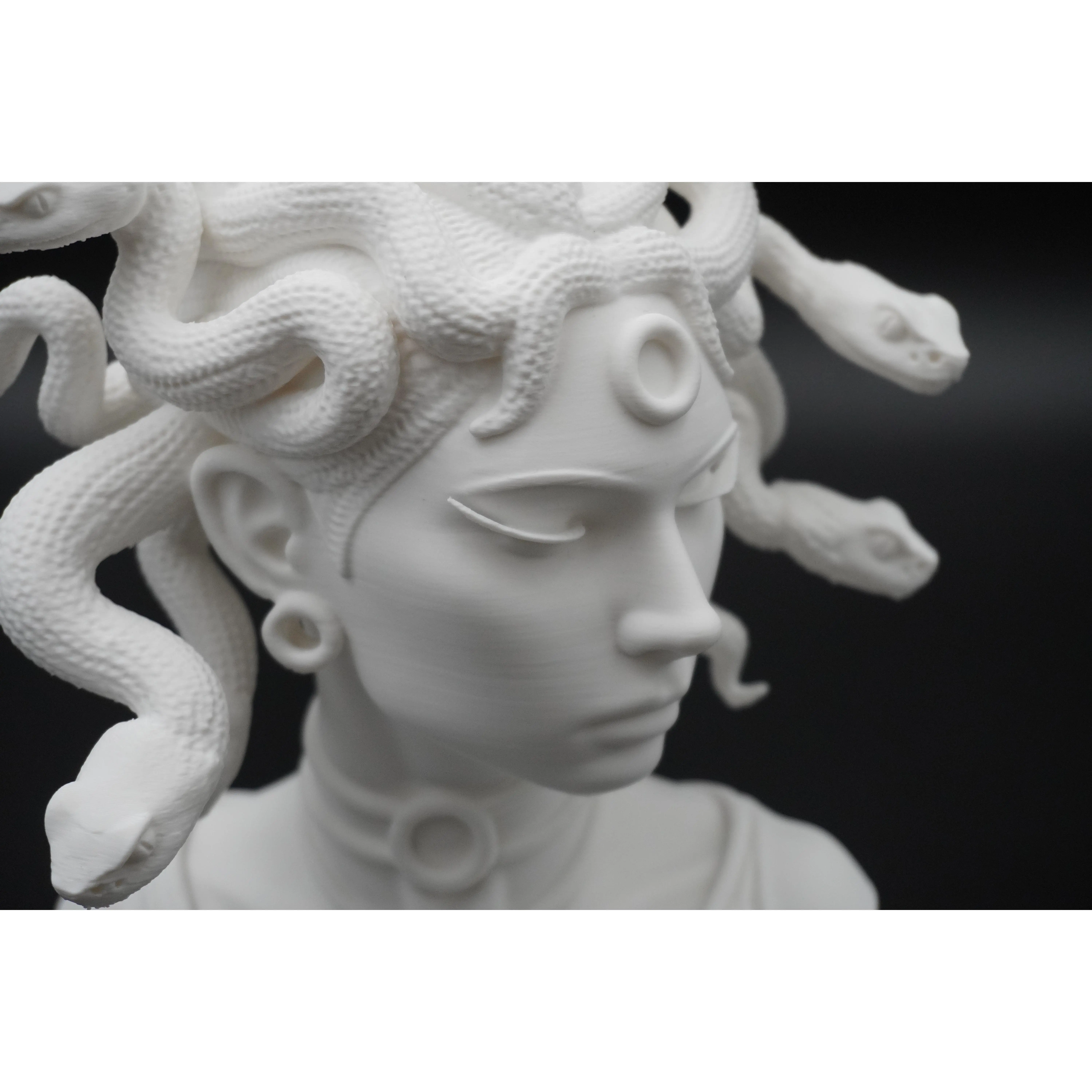 Medusa Bust - Mythis 3D Printed Shelf Sculpture - TikTok Shop