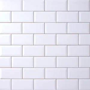 Timeless Ice White 3x6 Beveled Ceramic Tile Glossy Sample