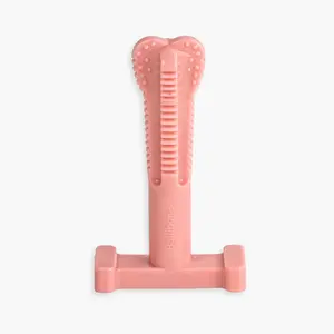 SuperBrush - Pink Peppermint