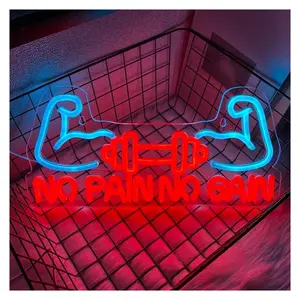 Sign Illuminated "No Plan No Gain" Neon Sign, Dumbbell Muscle Lamps Usb Power For Gym Fitness Club Wall Decor 38cmх18.5cm
