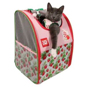 Strawberry Shortcake x Travel Cat Backpack - Officially Licensed